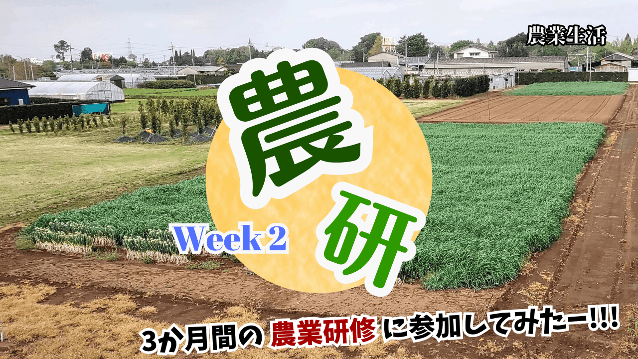 agricultural-training-Week2