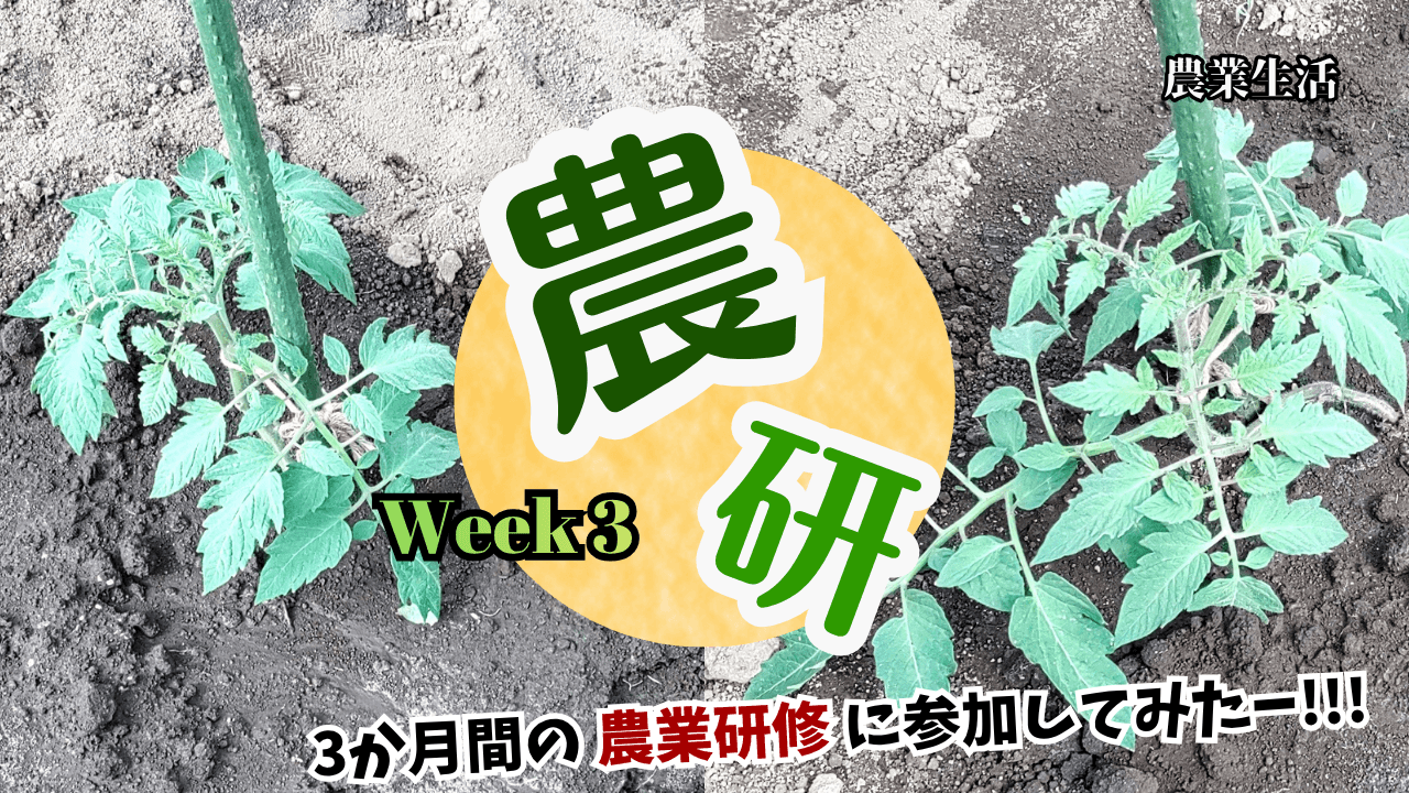 agricultural-training-Week3