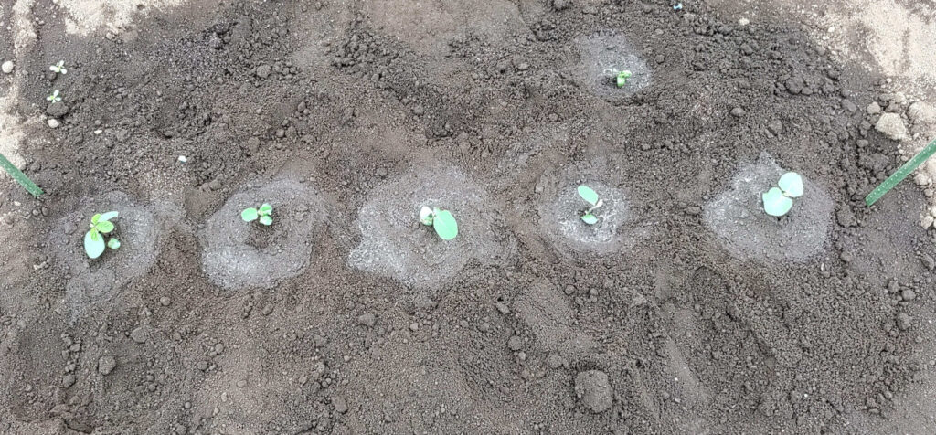 agricultural-training