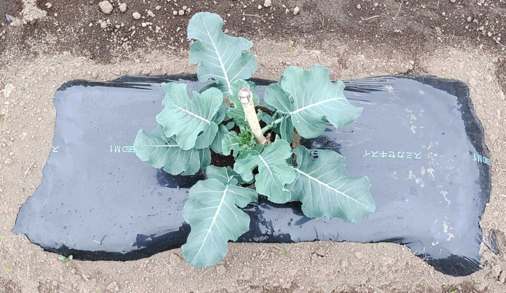 agricultural-training