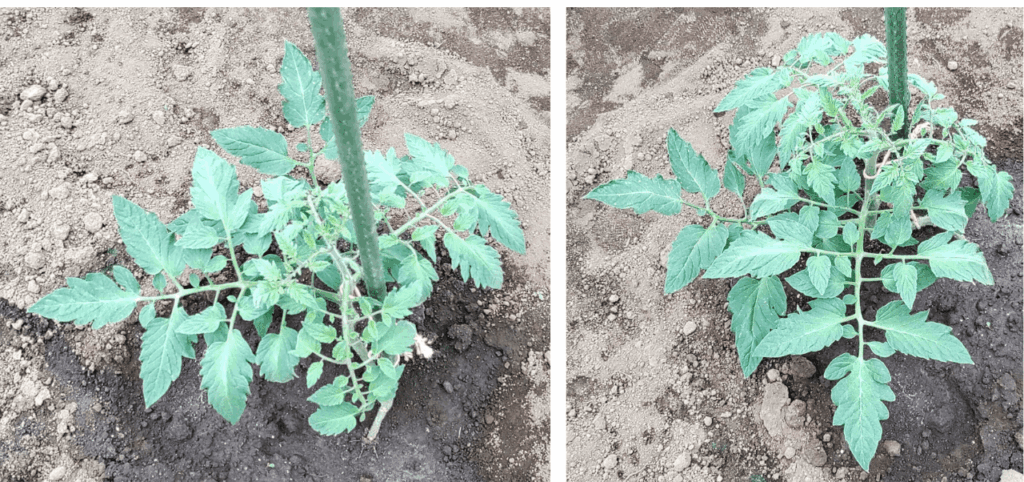 agricultural-training