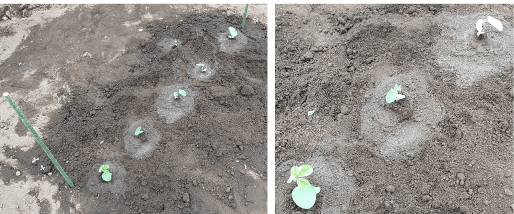 agricultural-training