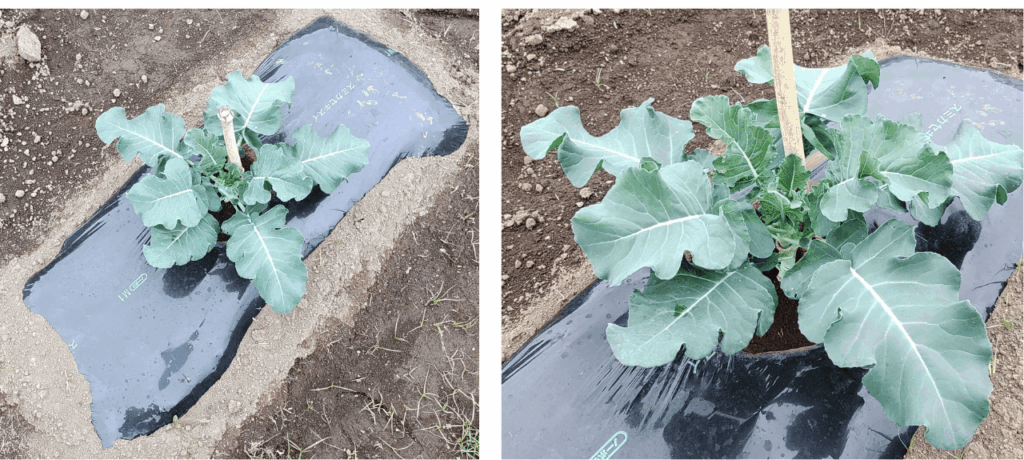 agricultural-training