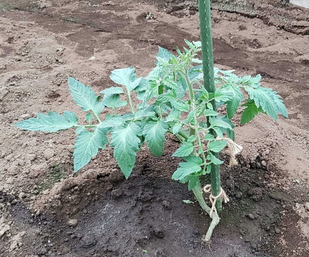 agricultural-training