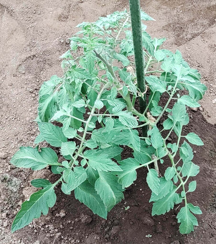 agricultural-training