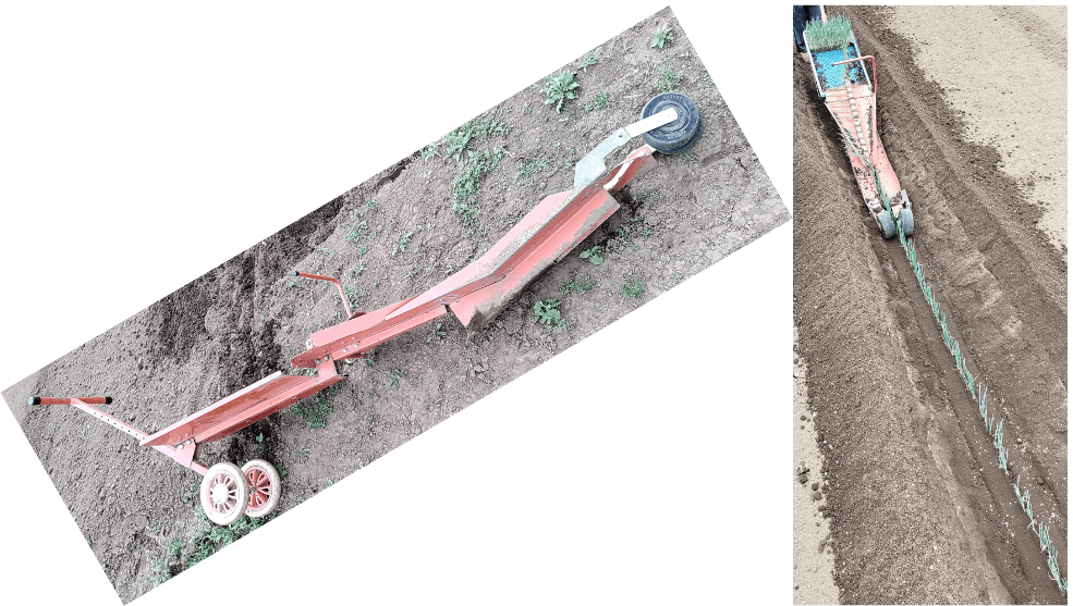 agricultural-training