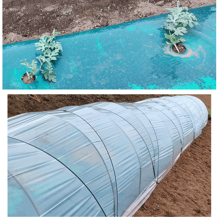 agricultural-training