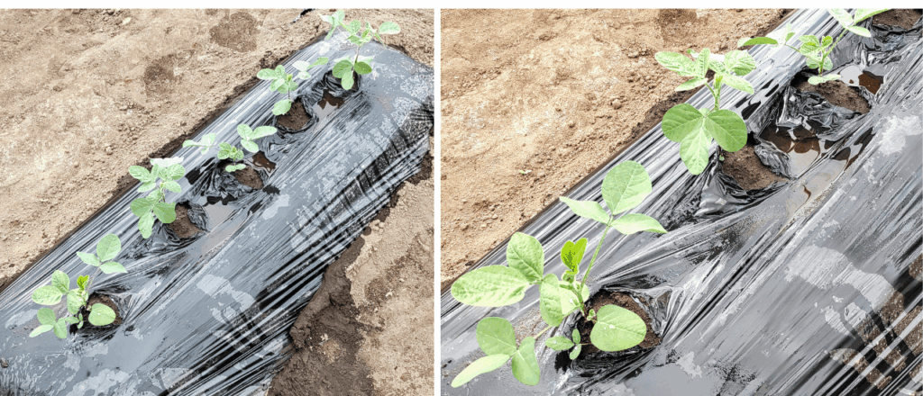 agricultural-training