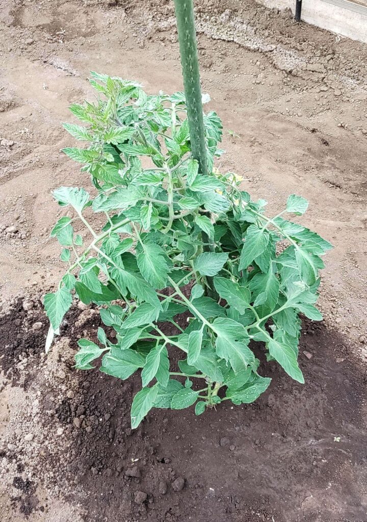 agricultural-training