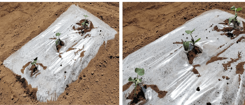 agricultural-training