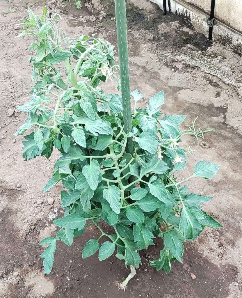 agricultural-training