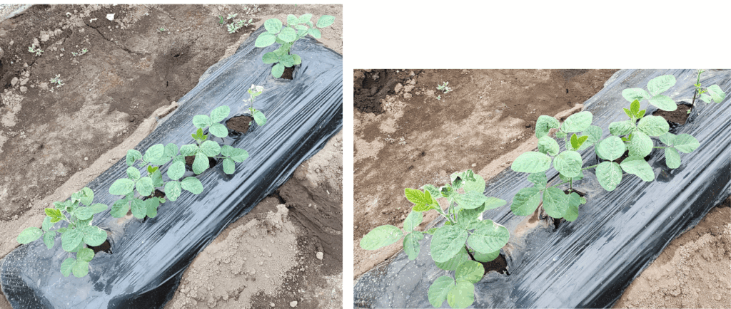 agricultural-training
