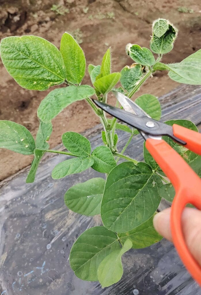 agricultural-training