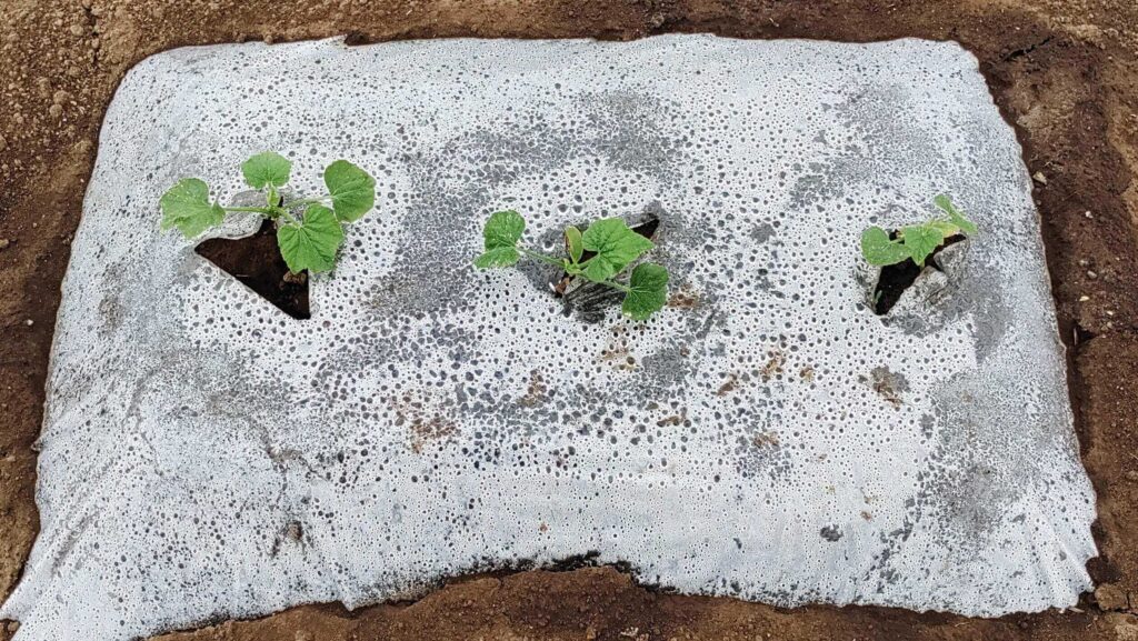 agricultural-training