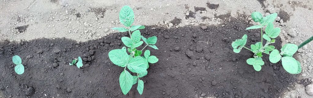 agricultural-training