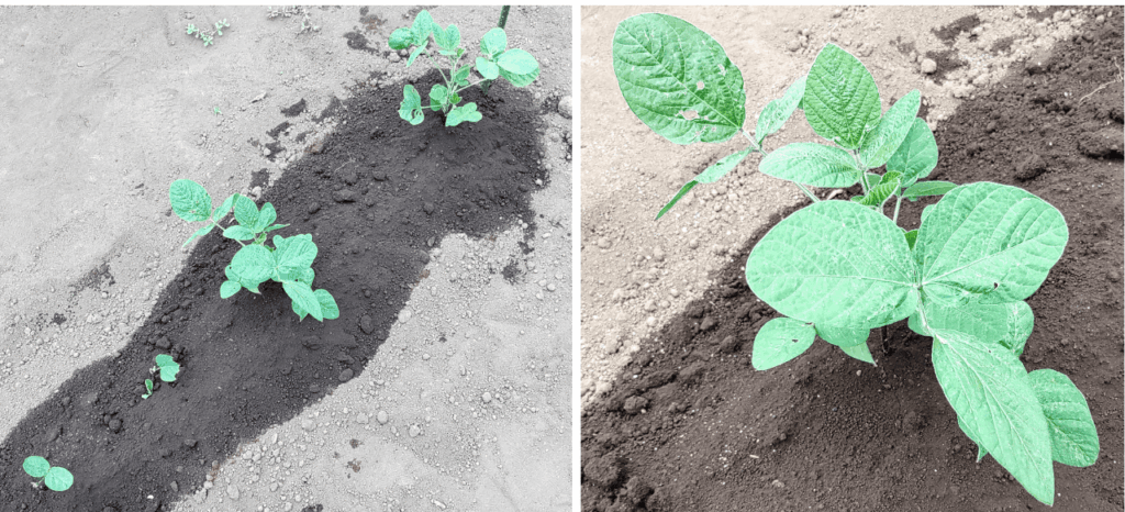 agricultural-training