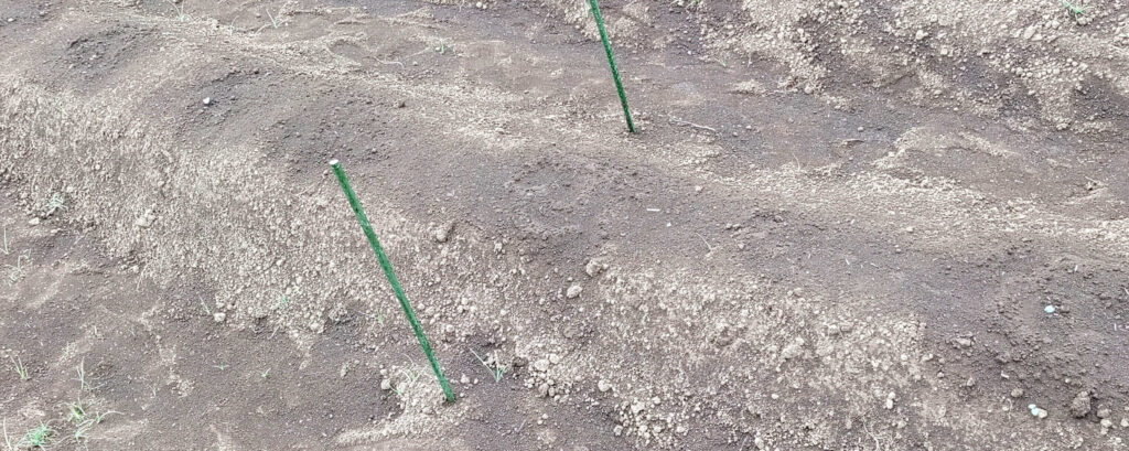 agricultural-training
