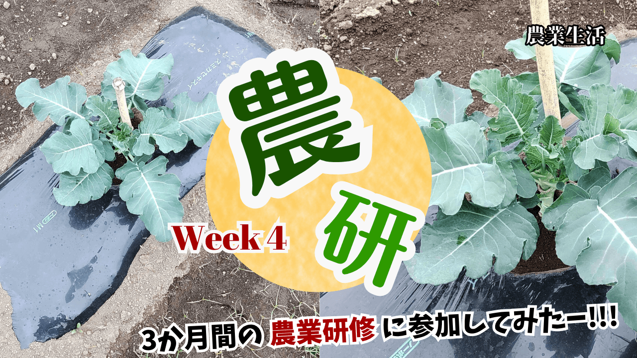 agricultural-training-Week4