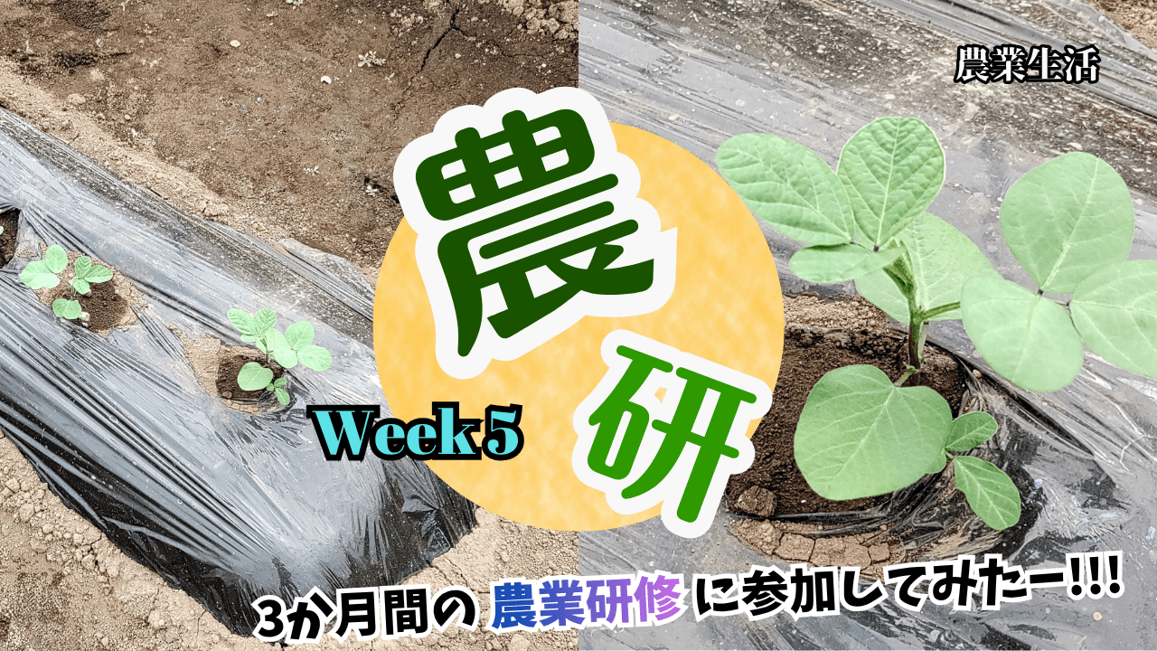 agricultural-training-week5