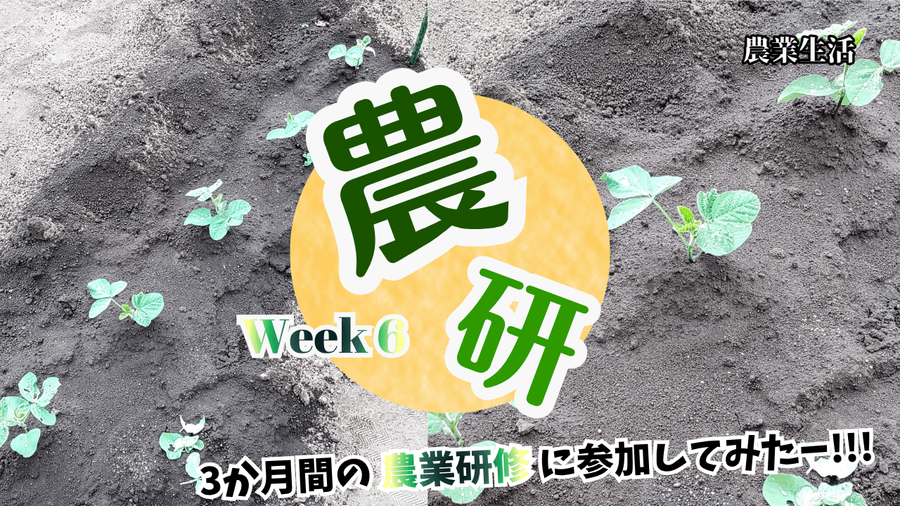 agricultural-training-week6