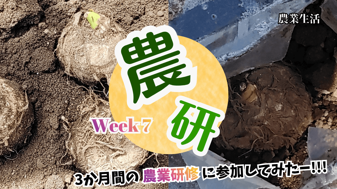 agricultural-training-week7