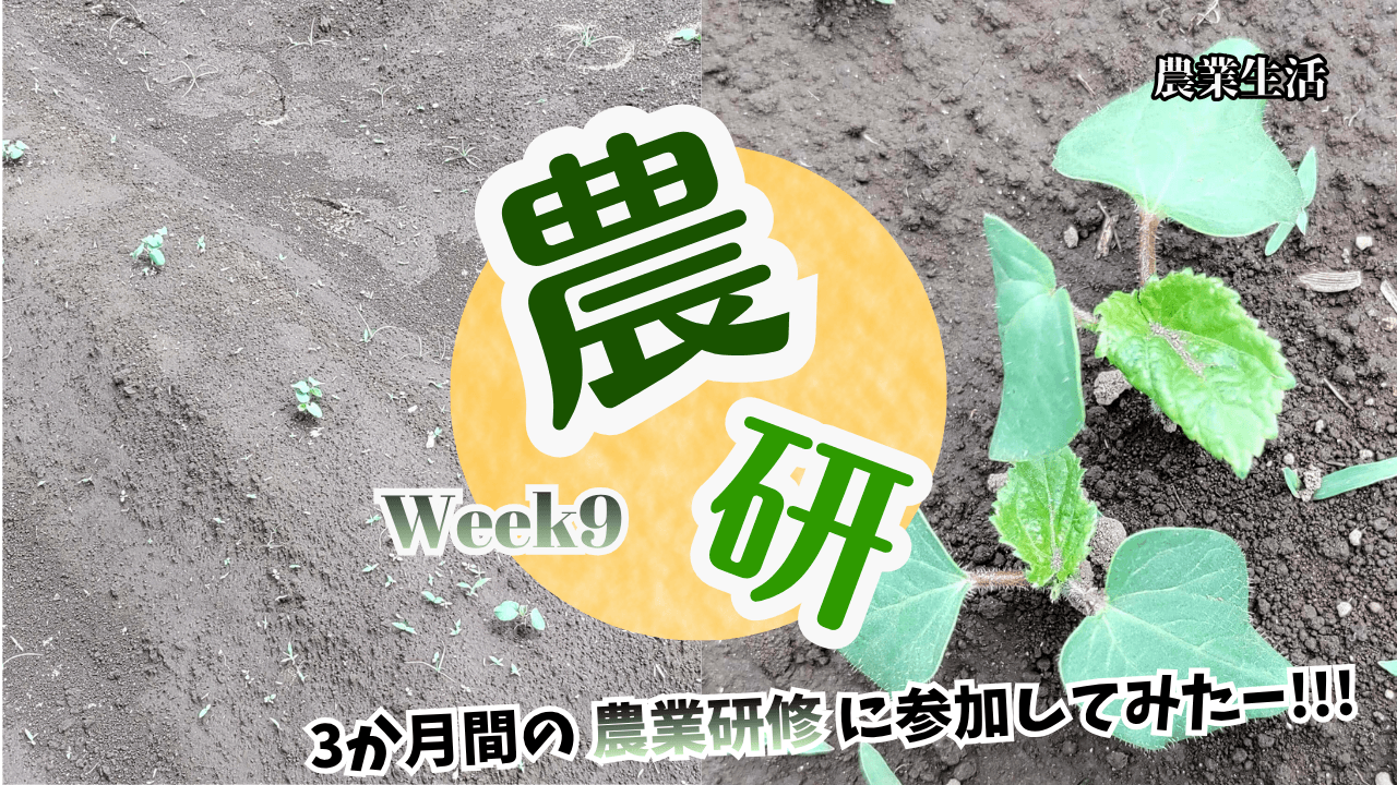 agricultural-training-week8