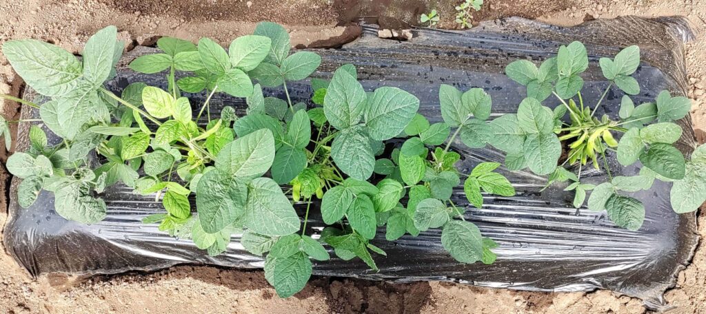 agricultural-training