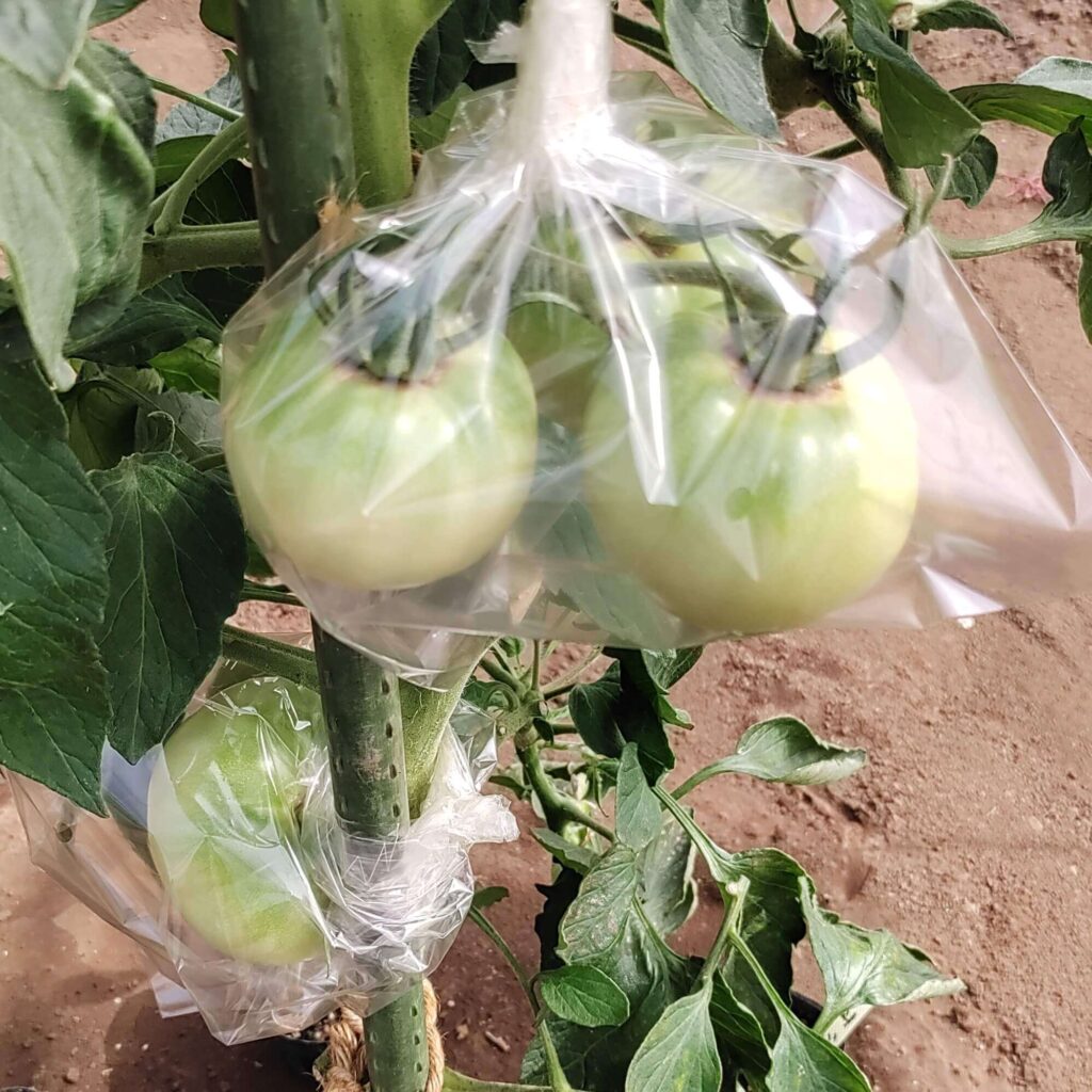 agricultural-training