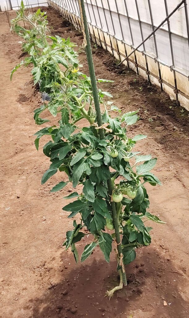 agricultural-training