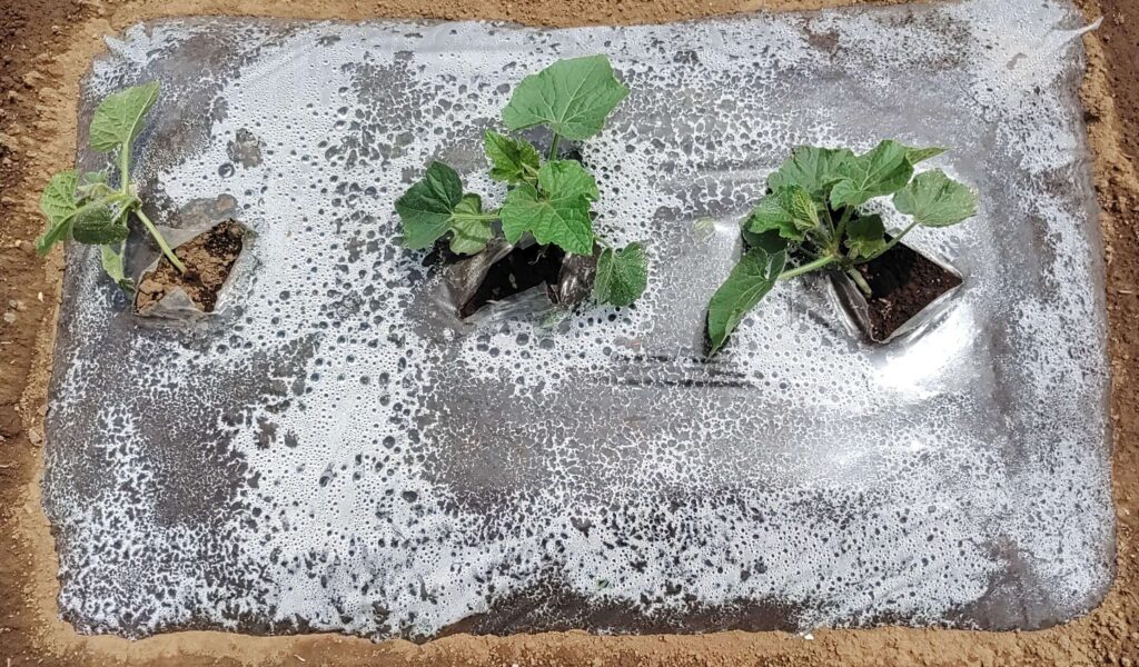 agricultural-training