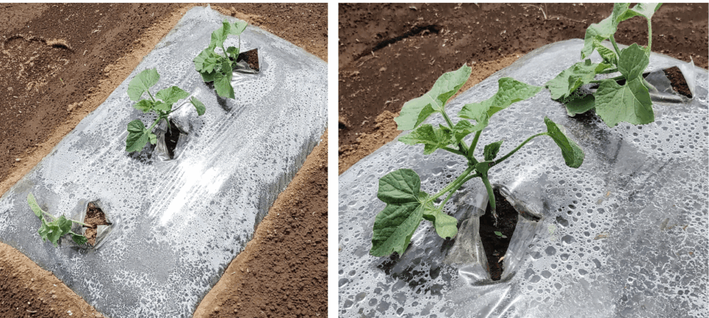 agricultural-training