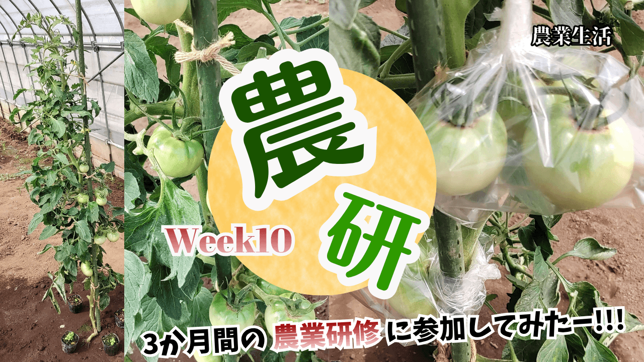 agricultural-training-week10