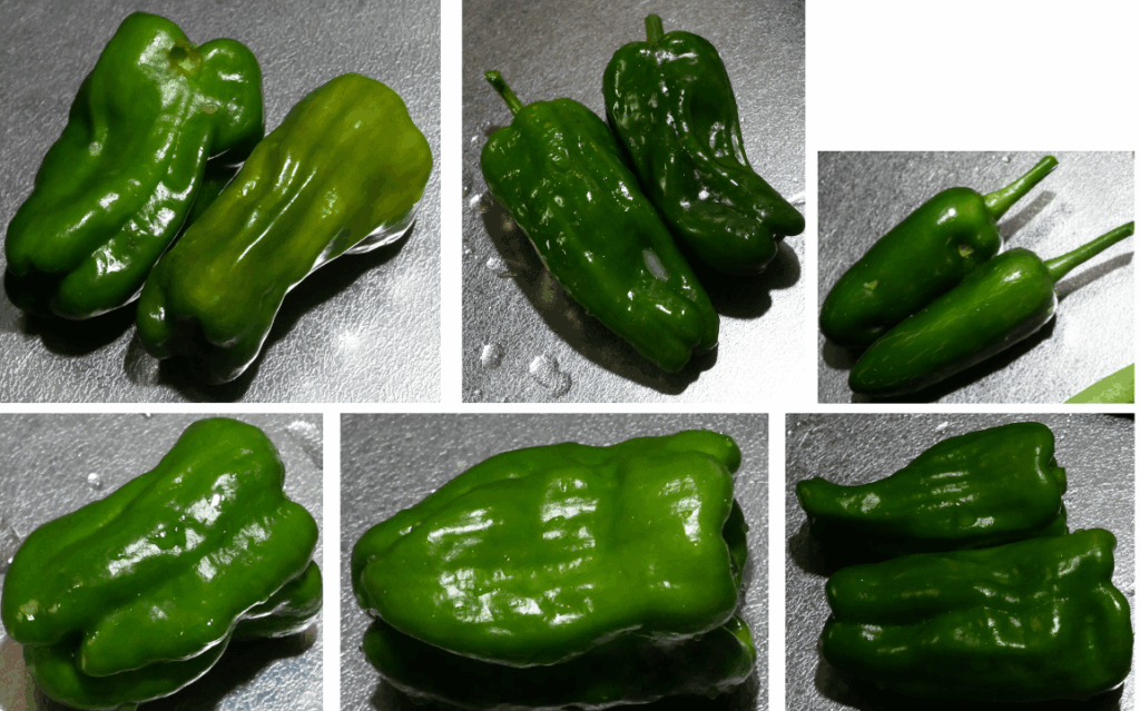 green-pepper