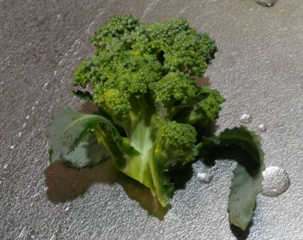 broccoli