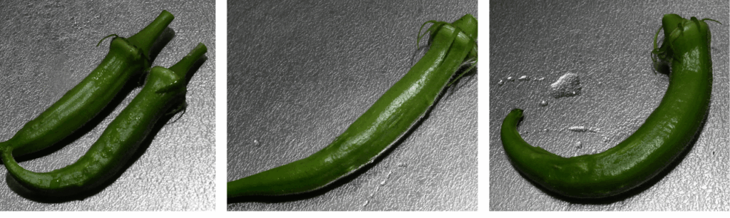 okra