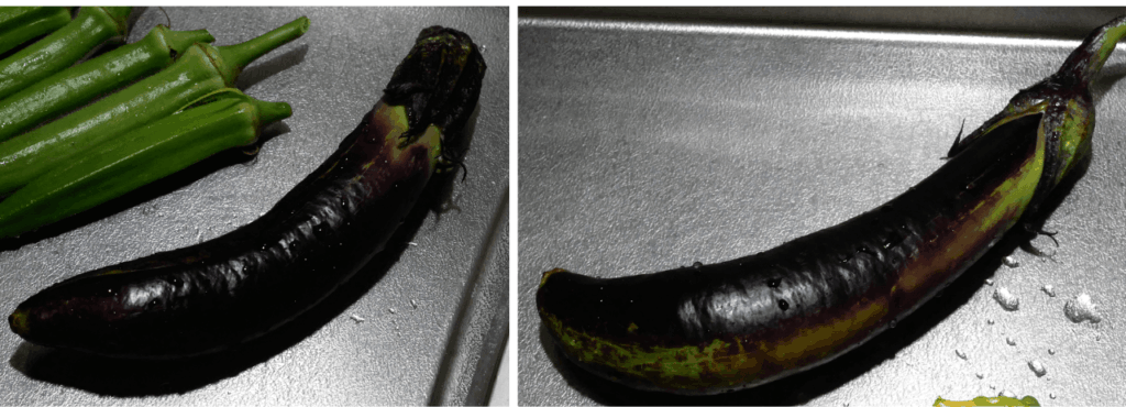 Long-eggplant