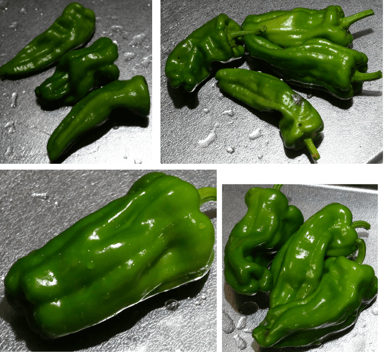 green-pepper
