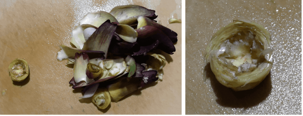 Artichoke