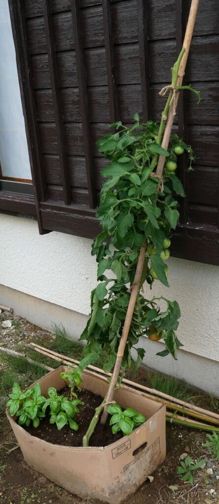 agricultural-training