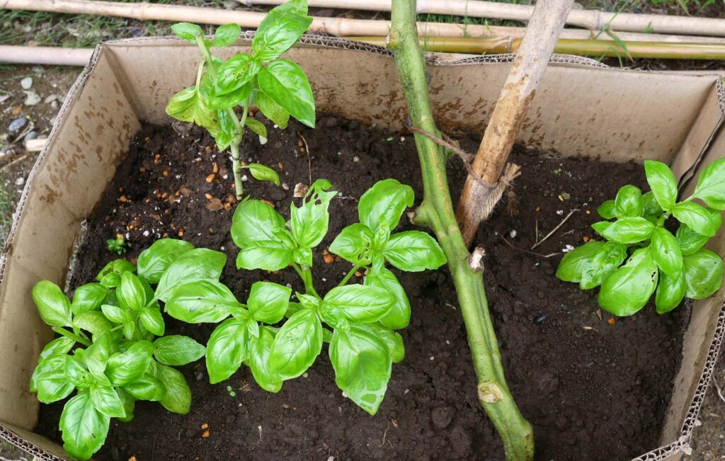 agricultural-training