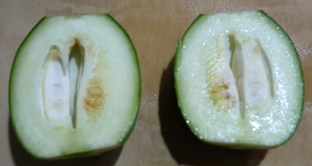 Thinned-melon